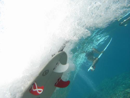SURF GUID